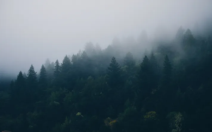 Photo by 壁纸迷