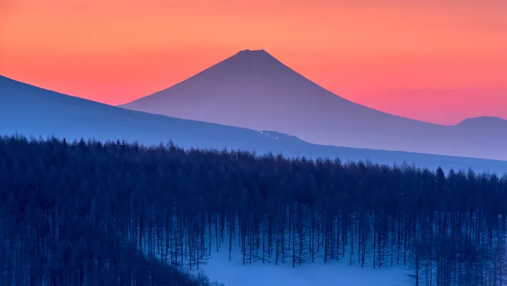Photo by 壁纸迷