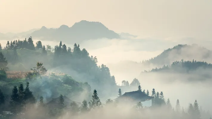 Photo by 壁纸迷