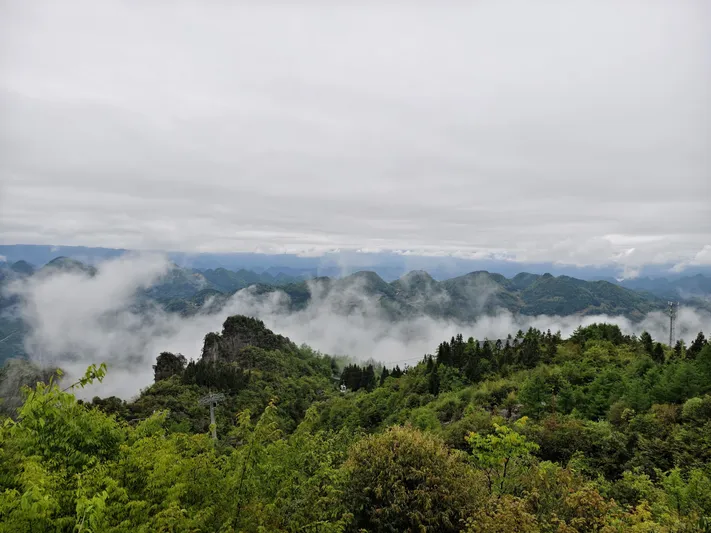 Photo by 壁纸迷