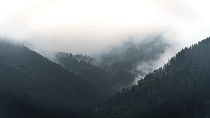 Photo by 壁纸迷