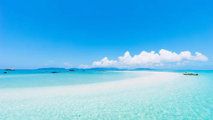 Photo by 壁纸迷