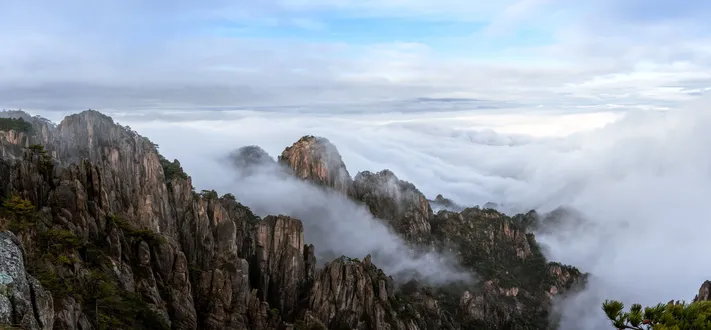 Photo by 壁纸迷