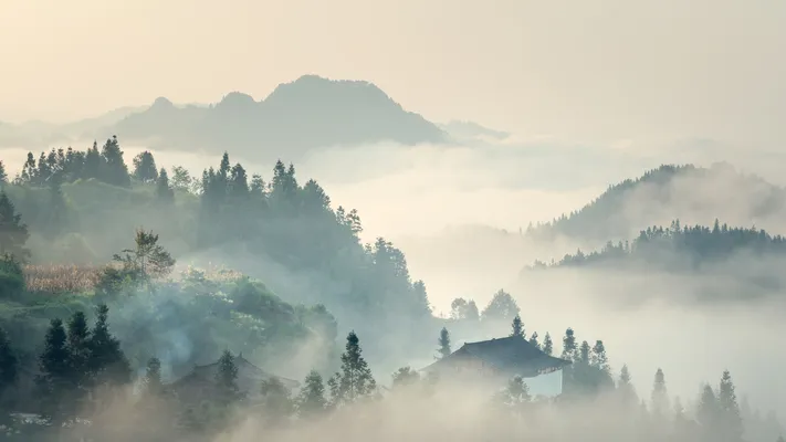 Photo by 壁纸迷