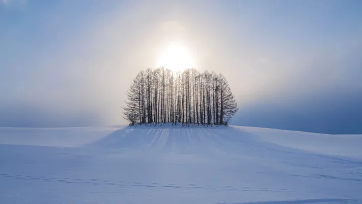 Photo by 壁纸迷