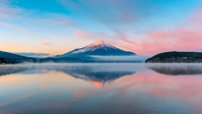Photo by 壁纸迷