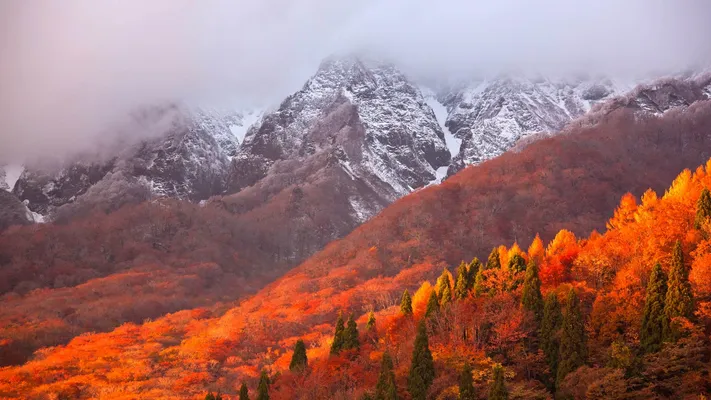 Photo by 壁纸迷