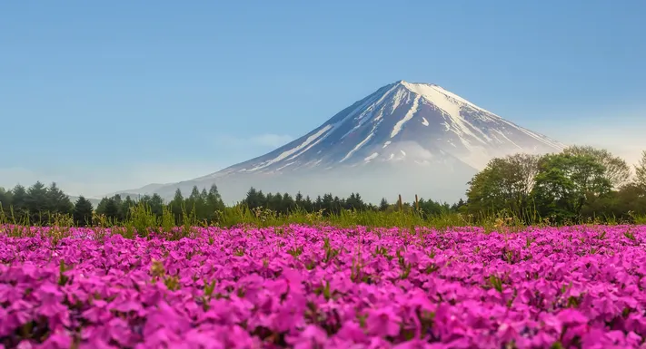 Photo by 壁纸迷