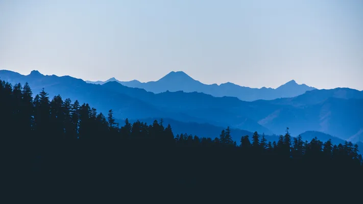 Photo by 壁纸迷