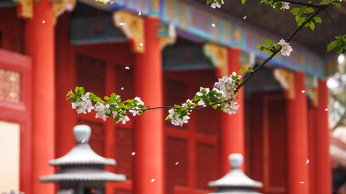 Photo by 壁纸迷