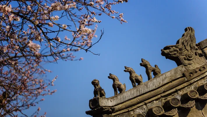 Photo by 壁纸迷