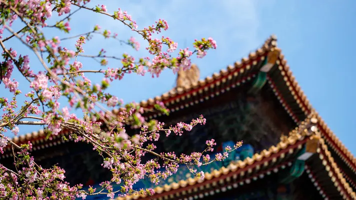Photo by 壁纸迷