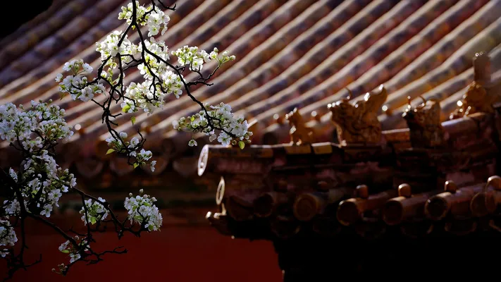 Photo by 壁纸迷