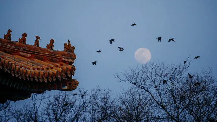 Photo by 壁纸迷