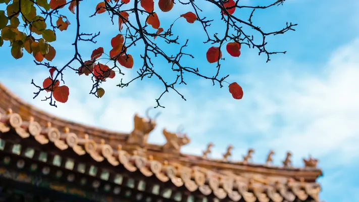 Photo by 壁纸迷