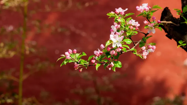 Photo by 壁纸迷
