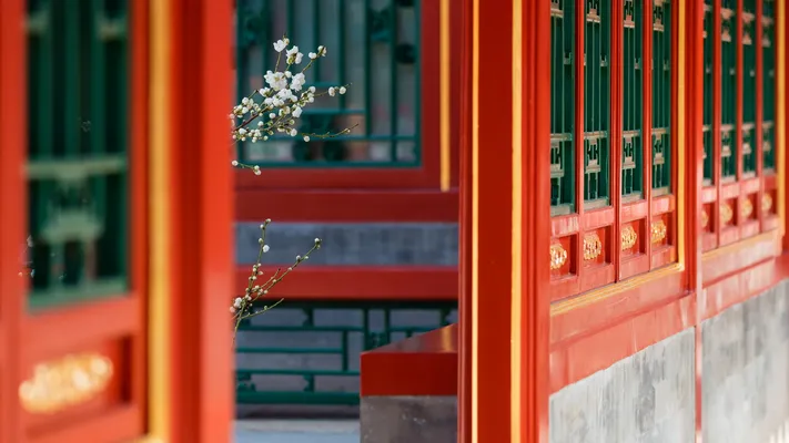 Photo by 壁纸迷