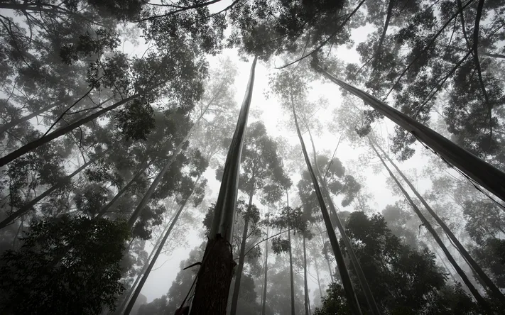 Photo by 壁纸迷