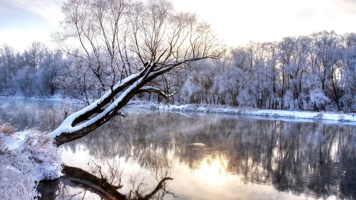 Photo by 壁纸迷