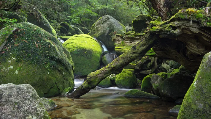 Photo by 壁纸迷