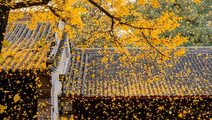 Photo by 壁纸迷