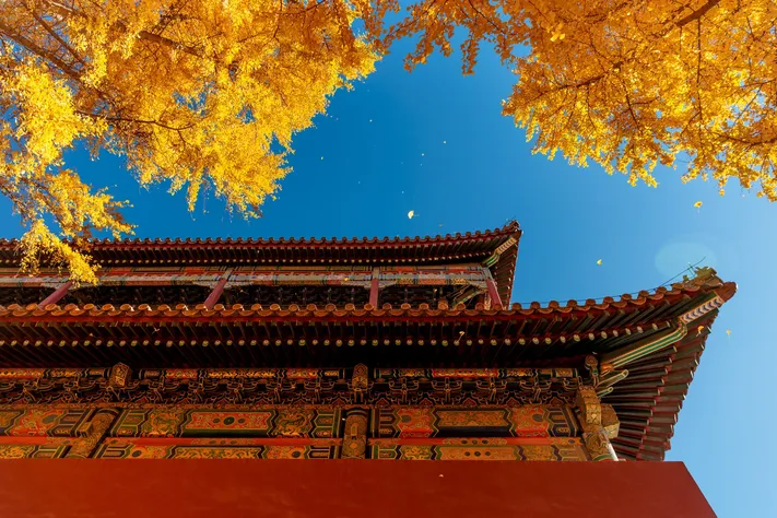 Photo by 壁纸迷