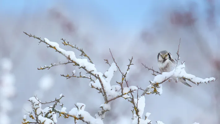 Photo by 壁纸迷