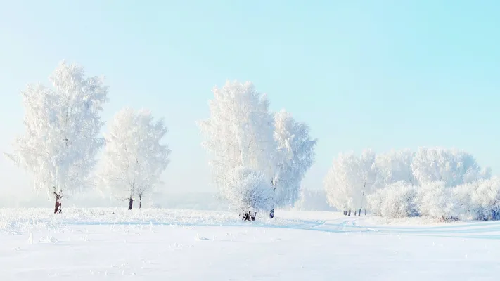 Photo by 壁纸迷